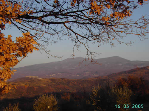 Vista dell'Amiata da Monticello